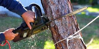 Reliable Sisters, OR  Tree Services Solutions